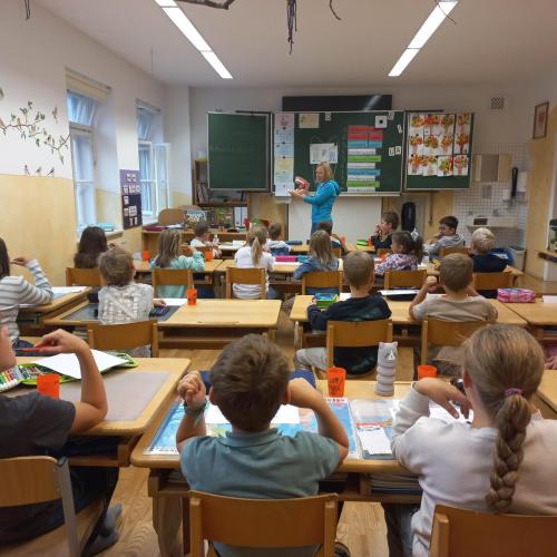 AVOMED-Besuch