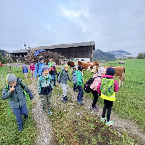 Wandertag 2026/27