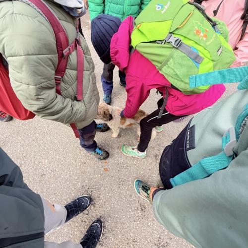 Wandertag 2026/27